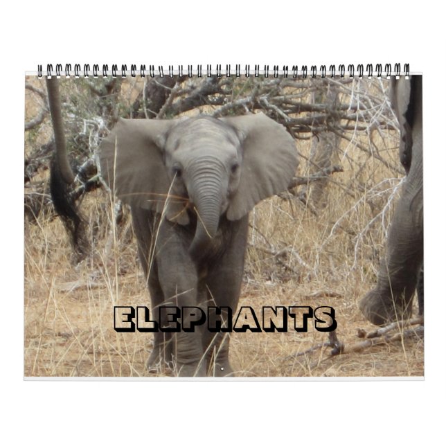 Elephants Calendar Kalender (Omslag)