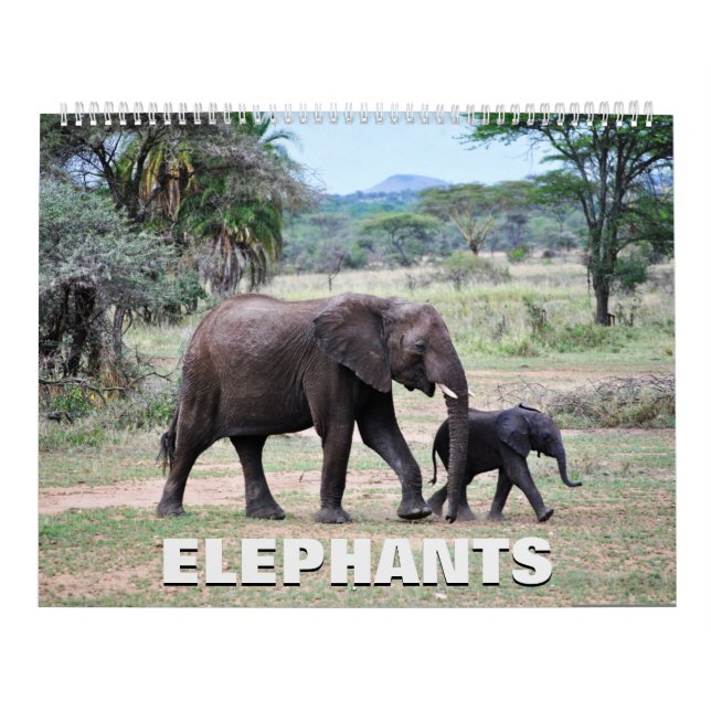 Elephants Calendar Kalender (Omslag)