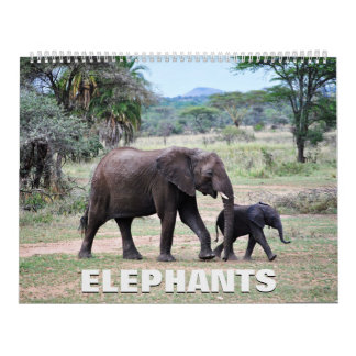 Elephants Calendar Kalender