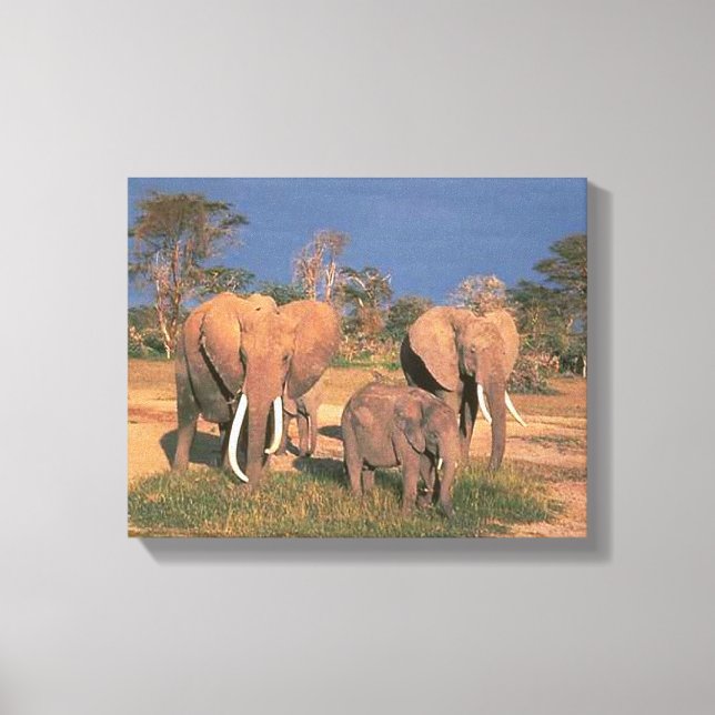 Elephants Canvastryck (Framsida)