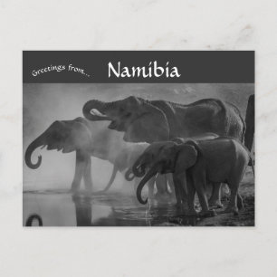 Elephants i Etosha nationalpark Namibia Vykort