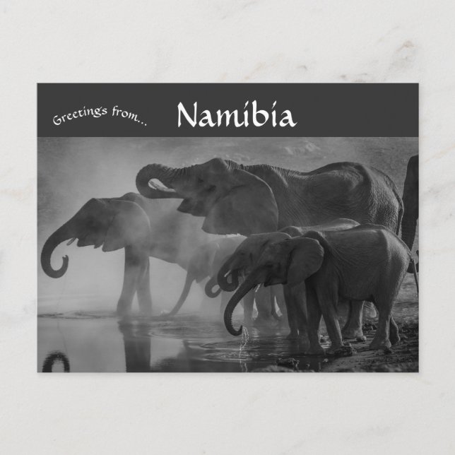 Elephants i Etosha nationalpark Namibia Vykort (Framsida)