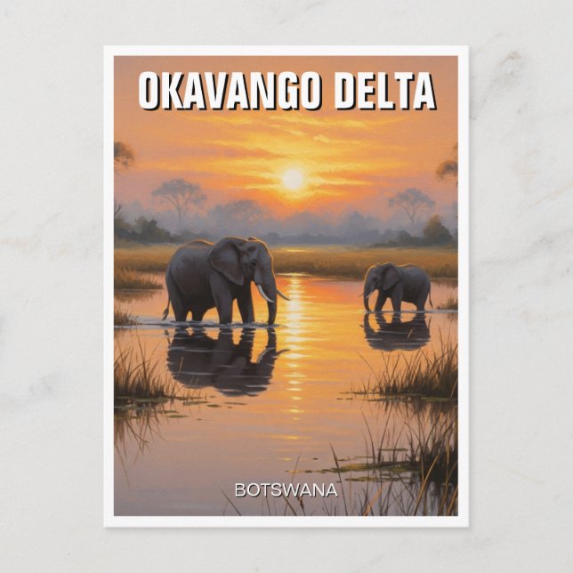 Elephants in Okavango Delta Botswana Vykort (Framsida)