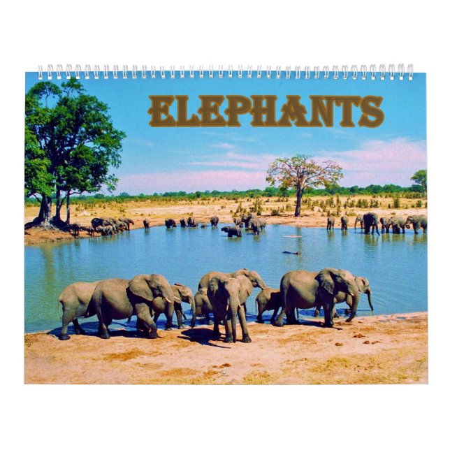 elephants  kalender (Omslag)