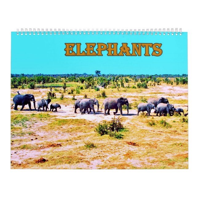  elephants kalender (Omslag)