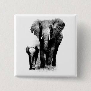 Elephants Knapp