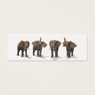 Elephants-kvartetten Litet Visitkort