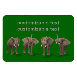 Elephants-kvartetten Magnet