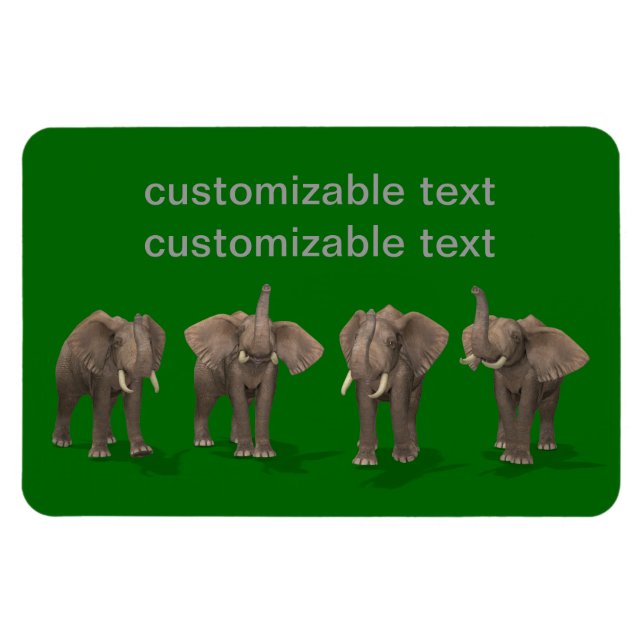 Elephants-kvartetten Magnet (Horisontell)
