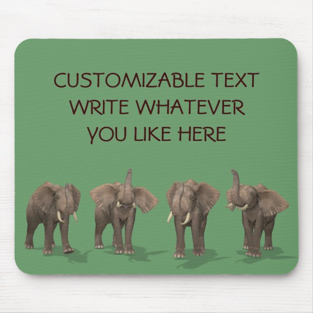 Elephants-kvartetten Musmatta (Framsidan)