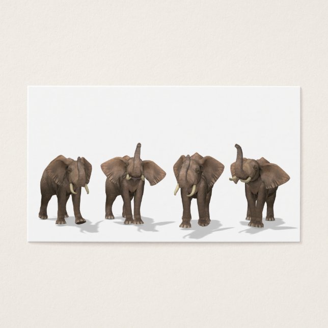 Elephants-kvartetten Visitkort (Framsidan)
