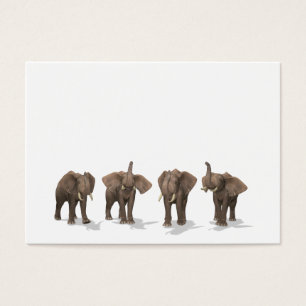 Elephants-kvartetten Visitkort
