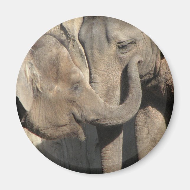 Elephants Magnet (Framsidan)