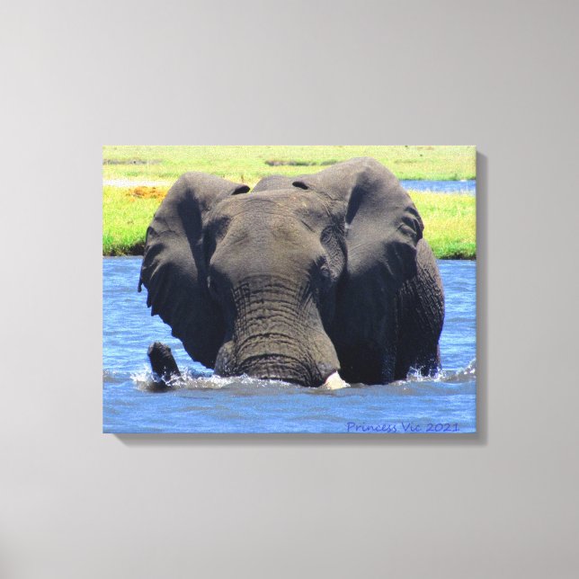 Elephants of Chobe Canvastryck (Framsida)