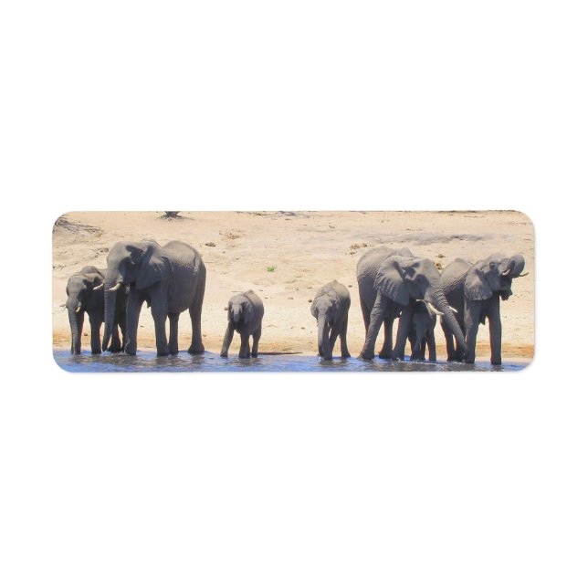 Elephants of Chobe Returetiketters Returadress Etikett (Framsidan)