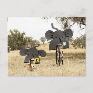 Elephants på Bikes Vykort