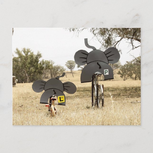 Elephants på Bikes Vykort (Framsida)