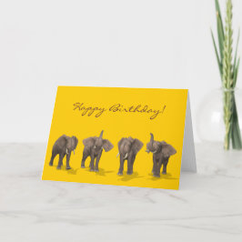 Elephants Quartet Grattis på födelsedagen Kort