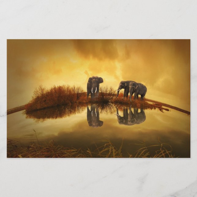 Elephants Scrapbook Papper (Framsida)