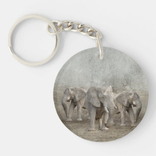 Elephants Springa