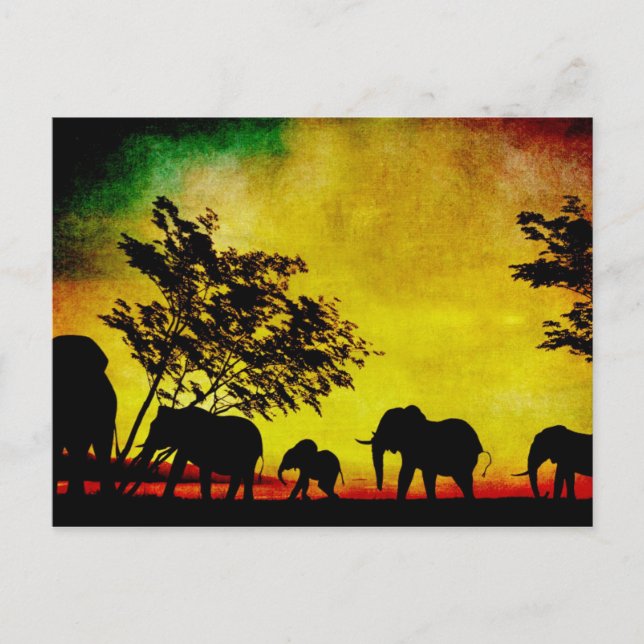 Elephants Sunset Vykort (Framsida)