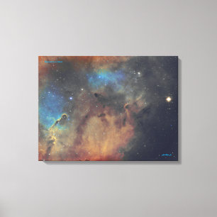 Elephant's Trunk Nebula - Medium-Kanvastrycket Canvastryck