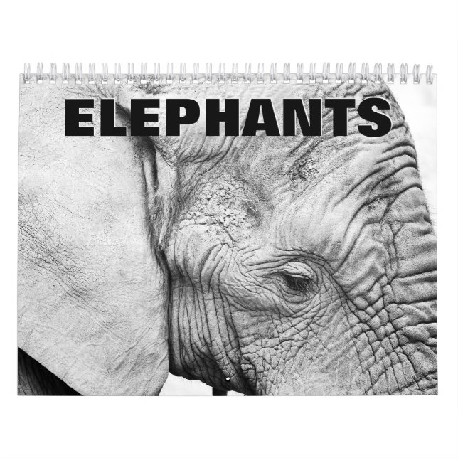 Elephants Wall Calendar Kalender (Omslag)