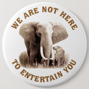 Elephats förtjänar respekt knapp