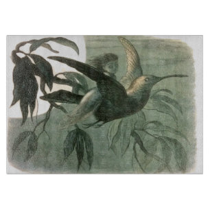 Elf-Älvor Elves Måne Nattscen Bird Flyg