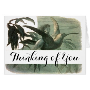 Elf-Älvor Elves Måne Nattscen Bird Flyg Hälsningskort