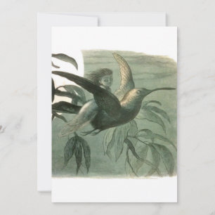 Elf-Älvor Elves Måne Nattscen Bird Flyg Inbjudningar