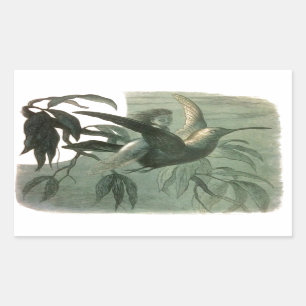 Elf-Älvor Elves Måne Nattscen Bird Flyg Rektangulärt Klistermärke