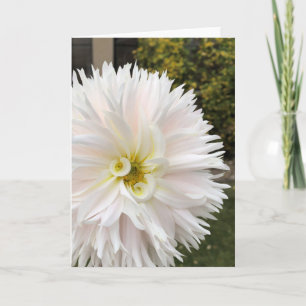 Elf Dahlia Kort