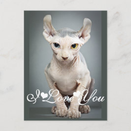 Elf Sphinx Cat Photo Image I Kärlek You Vykort