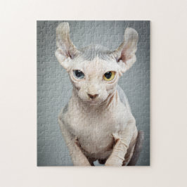 Elf Sphynx-punktfoto Pussel