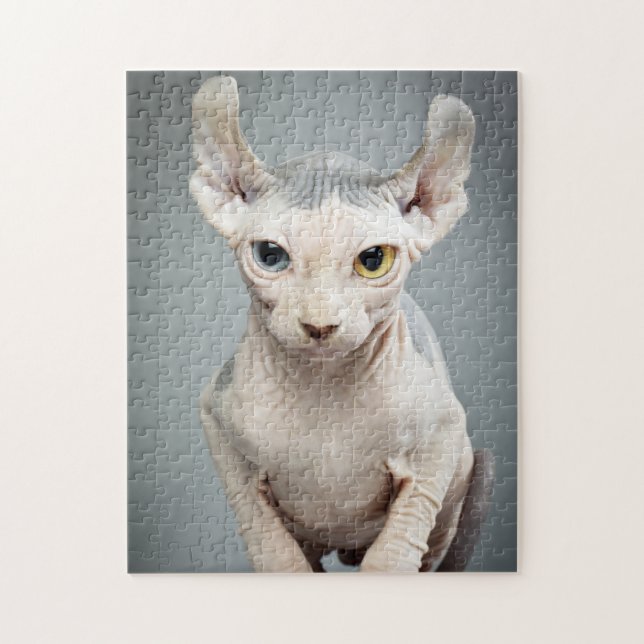 Elf Sphynx-punktfoto Pussel (Vertikal)
