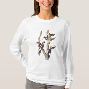 Elfenben-fakturerad hackspett, 1829, (trycket) t-shirt