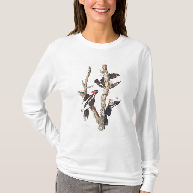 Elfenben-fakturerad hackspett, 1829, (trycket) t-shirt (Framsida)
