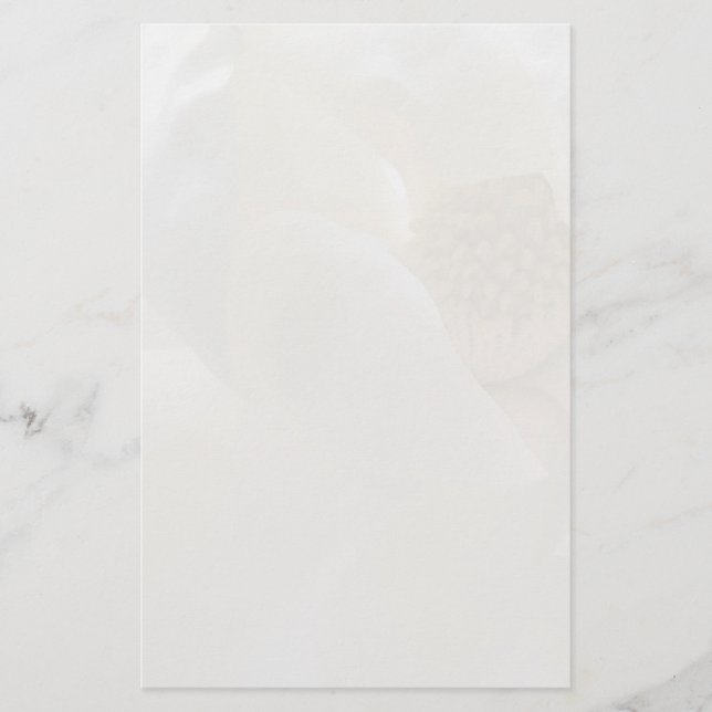 ElfenbenMagnoliabrevpapper Brevpapper (Framsida)