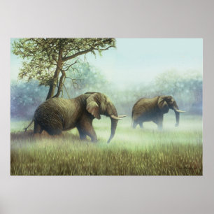 Elfenbenmist Poster