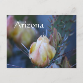 Elfenbensblomning, Arizona Vykort