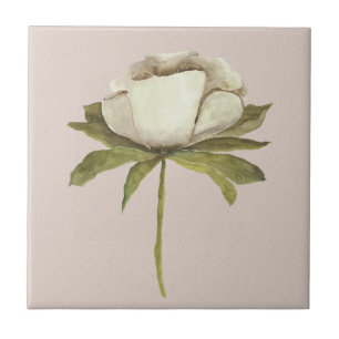 Elfenbensfärgsblomma på tejp kakelplatta
