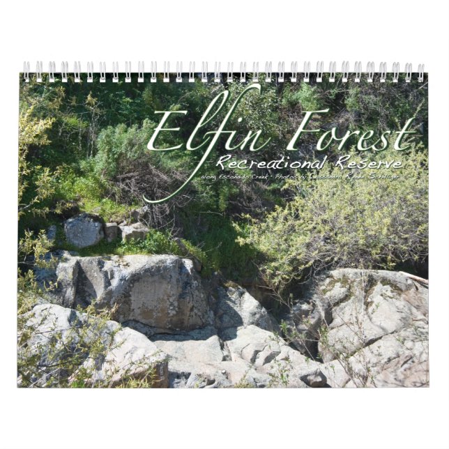 Elfin skogkalender kalender (Omslag)