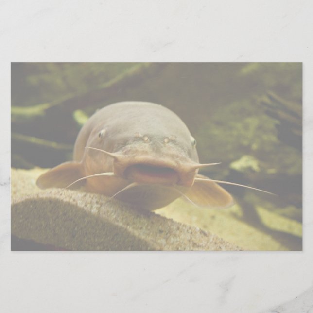 Elfisk Brevpapper (Framsida)