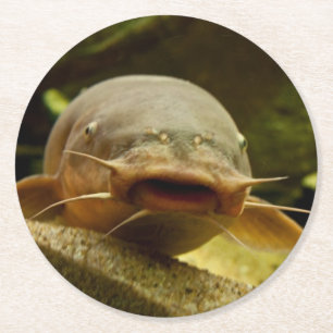 Elfisk Underlägg Papper Rund