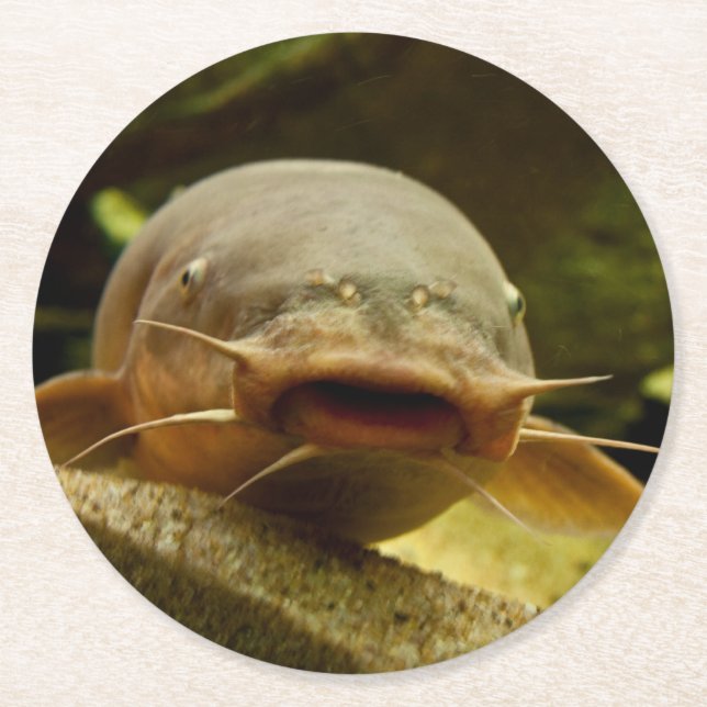 Elfisk Underlägg Papper Rund (Framsidan)