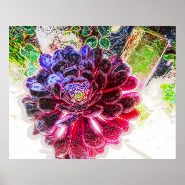 Elglöd Poster (Framsidan)