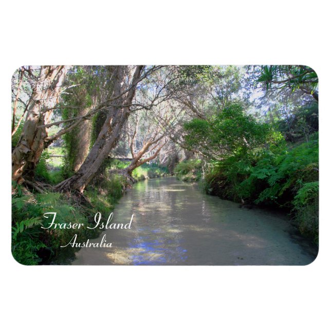 Eli Bäck Fraser Island, Australien, Premium Magnet (Horisontell)