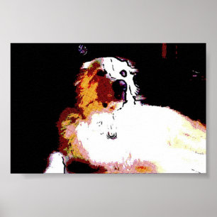 Eli konst poster
