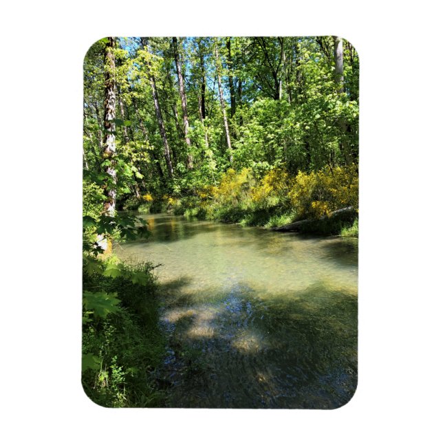 Elijah Bristow State Park, Dexter, Oregon Magnet (Vertikal)